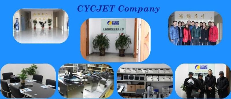 Cycjet Laser Marking Machine for Metal Stainless Steel