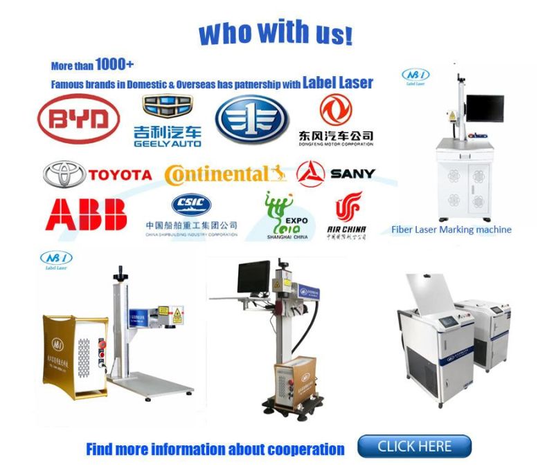 Flexible Label Laser Marking Machine for Automotive Engine