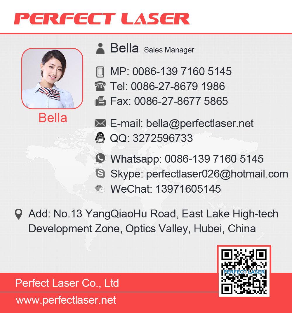 Perfect Laser-20W 30W 50W 100 Watts Metal Stainless Steel Brass Ipg/Raycus/Max/Jpt/Mopa Wuhan Fiber CNC Laser Marker Engraving Marking Etching Machines Price