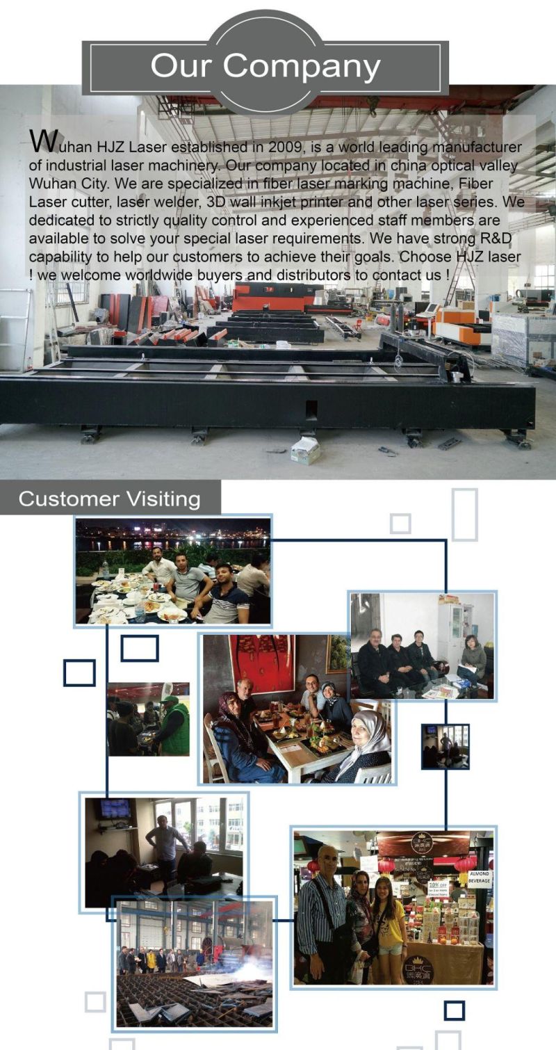 1000W Fiber Laser Cutting Machine for Metal Sheet 3015