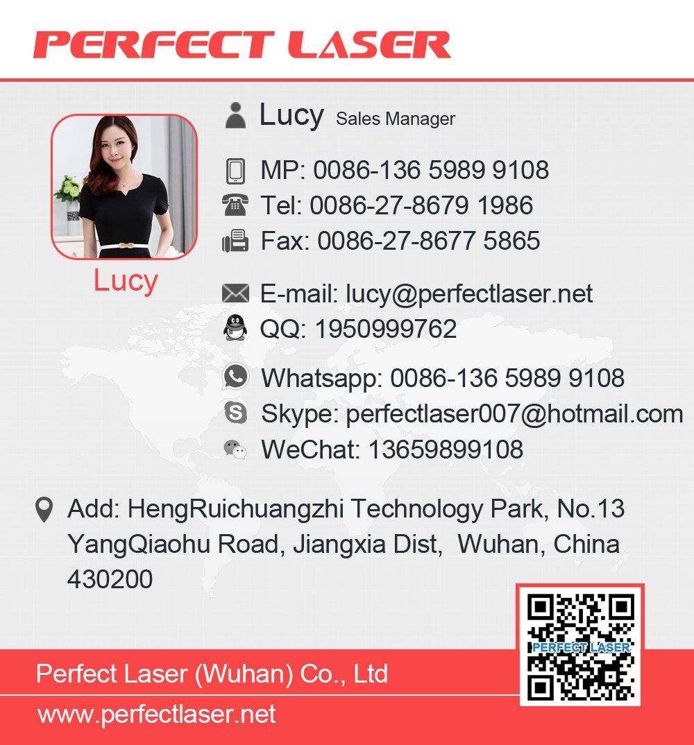 Perfect Laser - Protective Cover Stainless Steel 20W Fiber Laser Marking Machine