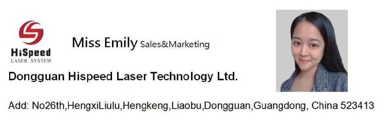 Dongguan Hispeed Laser Marking System Fiber-Optic Laser Marking Engraving Machine