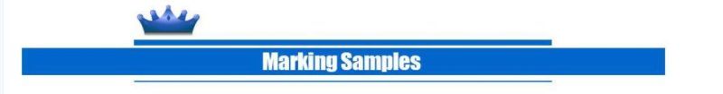 30W Portable Laser Marking Machine for Metal Gift Appliance Glass Bulb