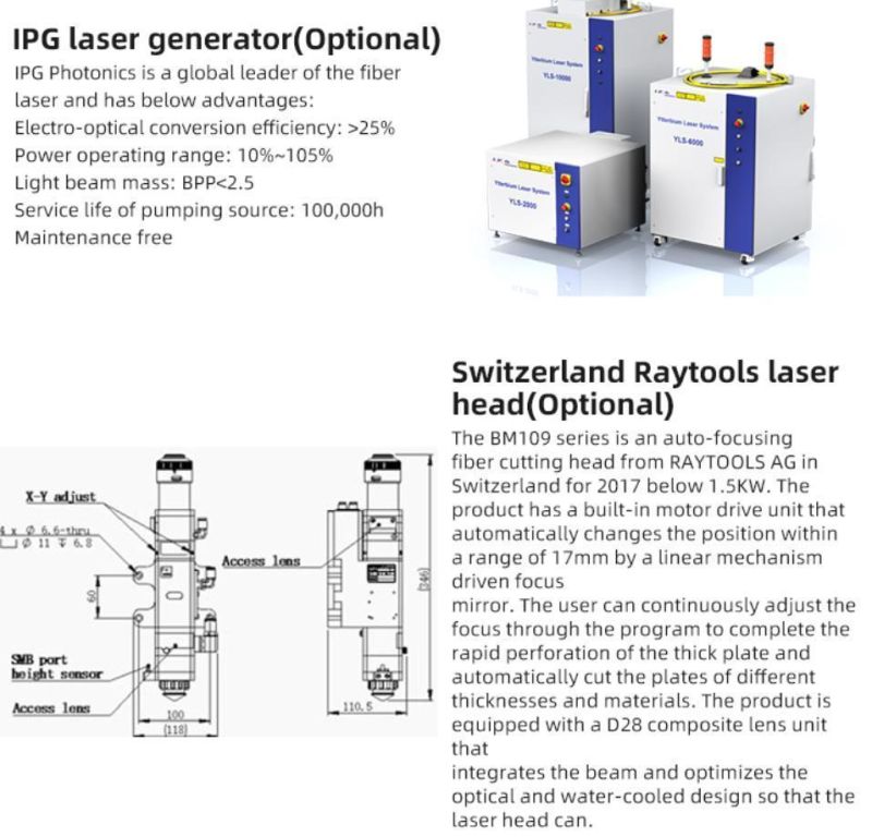 Fiber Laser Metal Cutter Machine for High Power 4000W to 6000W Ipg/ Raycus with Exchange Platform/Two Working Tables Fiber Laser Cutting Machine for Metal Sheet