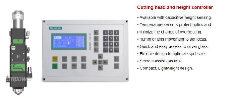 Raycus Fiber Laser Source 1000W 1500W 2000W 3000W 4000W 6000W Open-Type Fiber Laser Cutting Machine Cutting Metal Machine