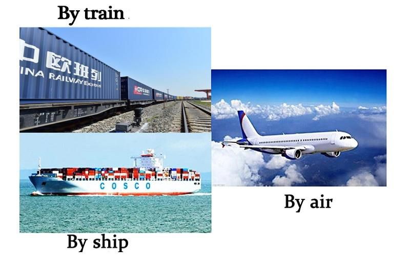 4020 Metal Sheet Fiber Laser Cutter with Single Shuttle Table