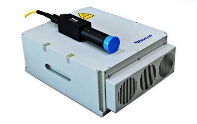 20W 30W 50W 20qb 30qb Raycus Pulse Fiber Laser Source with Lifetime of 100000 Hours