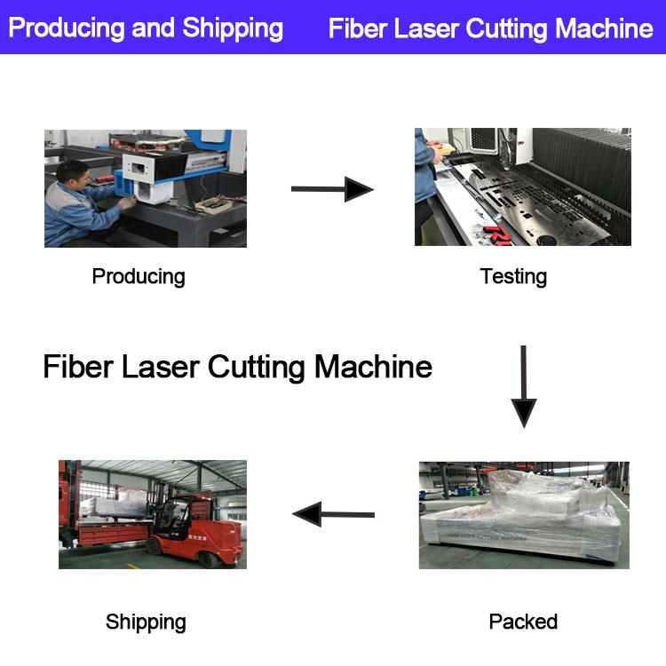 Auto Feeding with Automatic System and Easy Operation Sheet Metal Fiber Laser Cutter From China