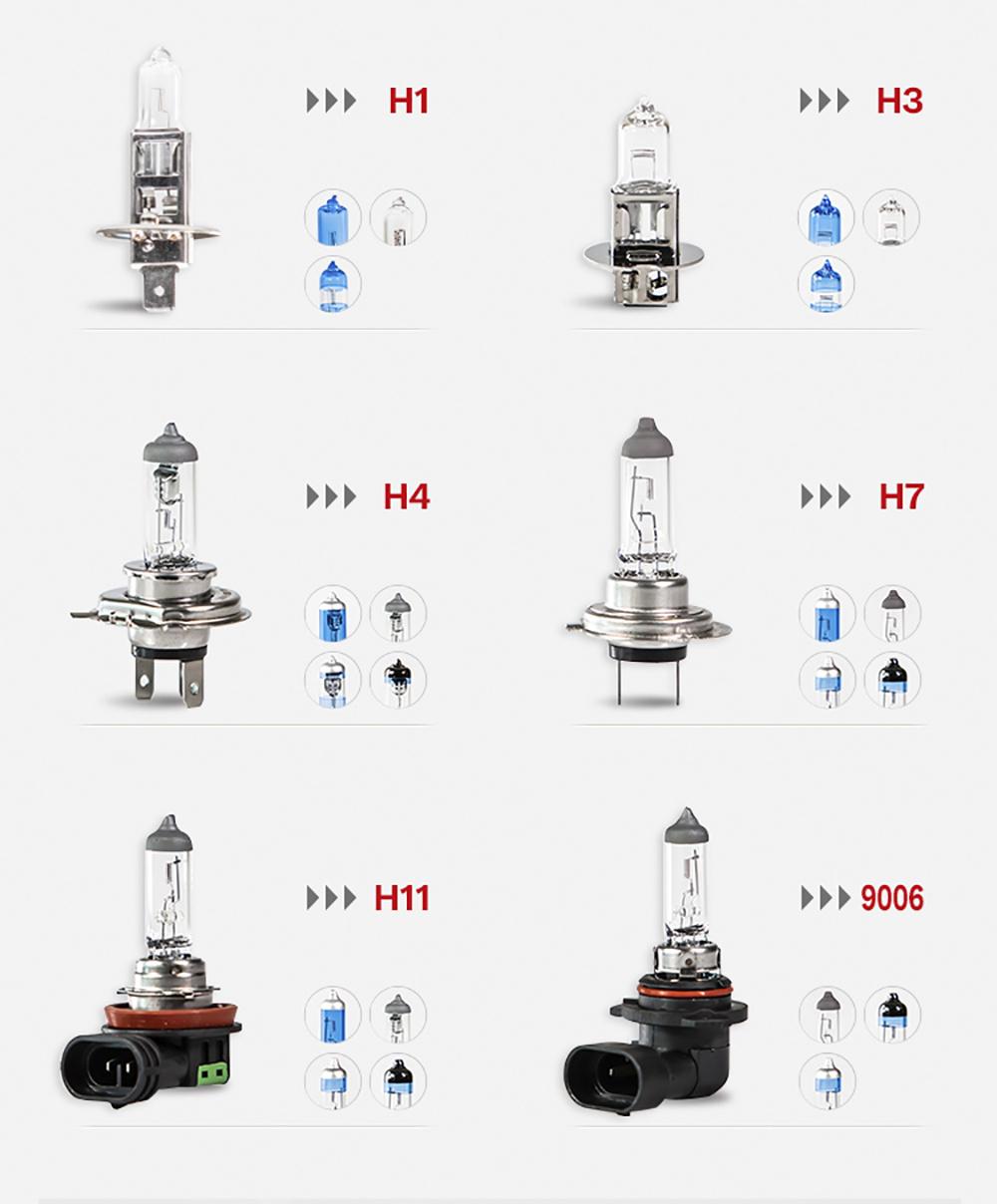 Fog Light pH24W Clear Color Halogen 12V 24W