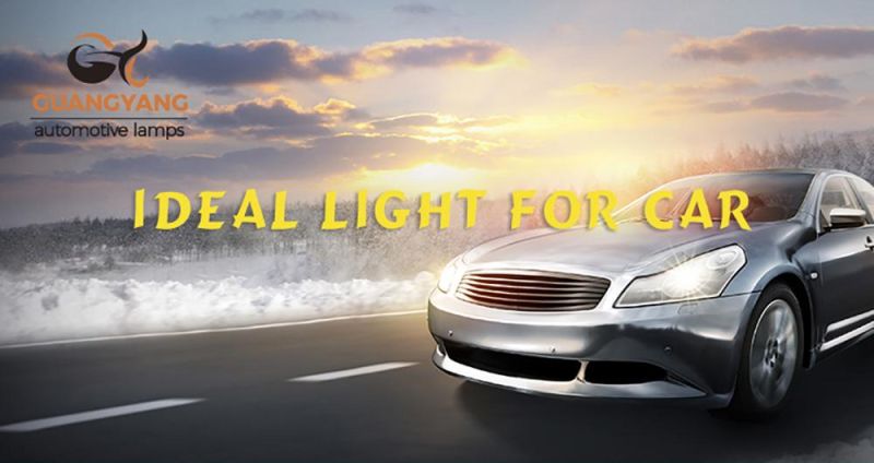 Hb5 9007 12V 65/55W Yellow Lamp Quartz Glass Car Headlight Bulb Best Quality Halogen Lamp Bright Lighting