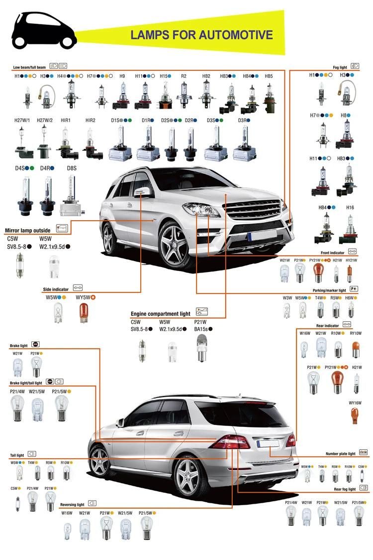 LED Dual Color Car Headlight Bulb H4 H7 H11 9005 Hb3 9006 Hb4 H1 Auto Headlamp Fog Lights Warm White 12V Lamp