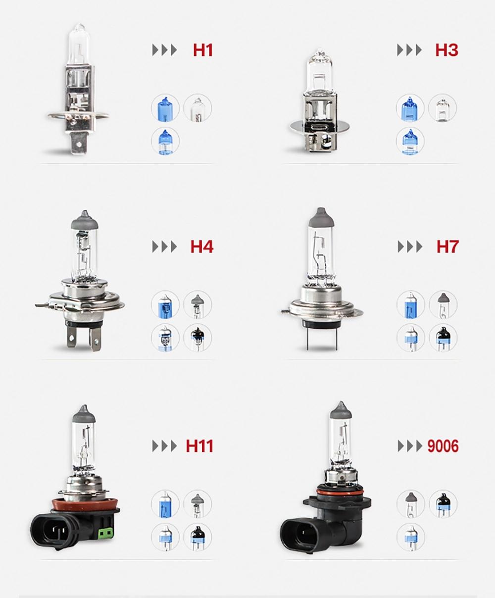 Car Lamp Py24W 12V 24W Auto Signal Bulb