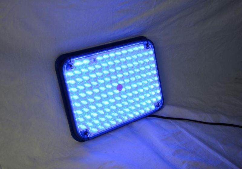 Blue Ambulance Surface Mount Light