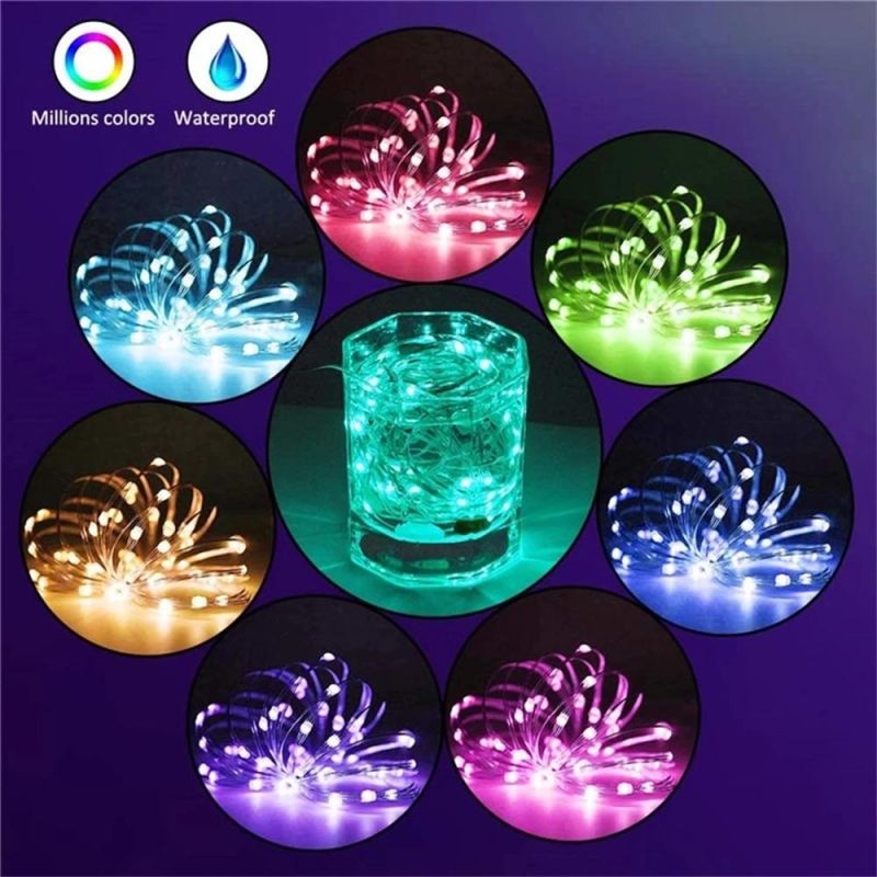 Dropshipping APP Control LED String Lights