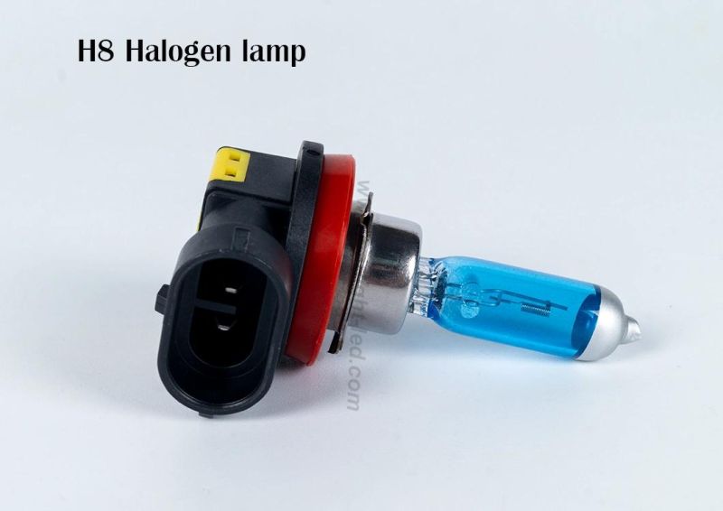 H8 Super White Light Long Life Halogen Automotive Headlamp Fog Bulb