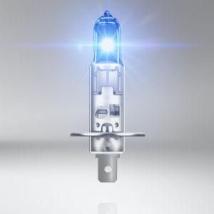 H1 12V 55W P14.5s Foshan Factory Super White Blue Auto Bulbs Lights Lamps Headlight Halogen for Car Bus and Truck