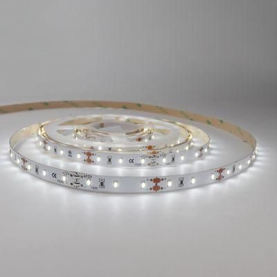 DC12V High Quality 5meter/ Roll LED Flexible Strip Light