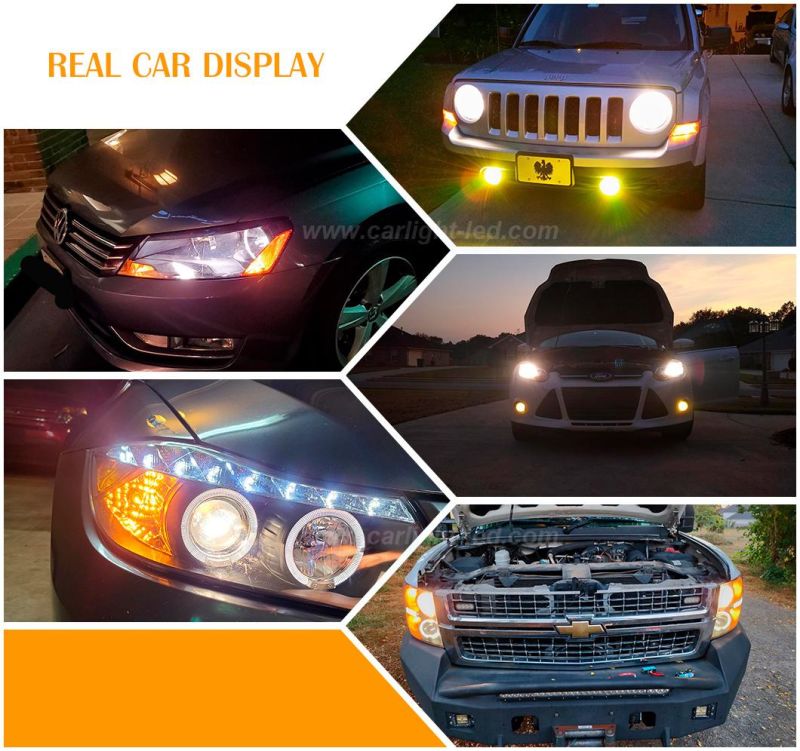 H1 Auto Headlamp Fog Lamp From Chinese Factory