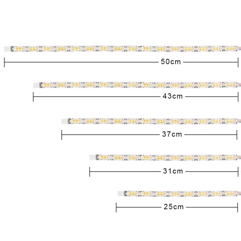 Creativity LED Strip Light RGB SMD 5050/2835 Flexible Neon Ribbon 12V 5m 10m 15m Waterproof Tira LED Light Strip RGB Diode LED Light