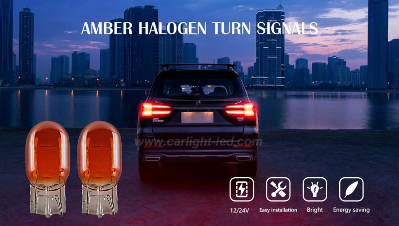 12/24V Wy21W Amber Car Turn Signal Indicator Light