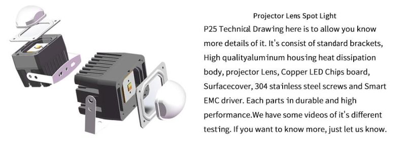 Lightech P25 Auto Lighting Industry with Car LED Eagle Series Lamp 25W