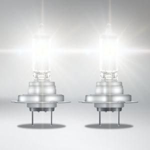 H7 12V 55W Px26D New Products International Standard Halogen Light Lamps Headlight Auto Bulbs for Car Bus and Truck