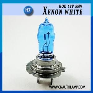 Super White Halogen H7 Hod Bulb 12V 100W