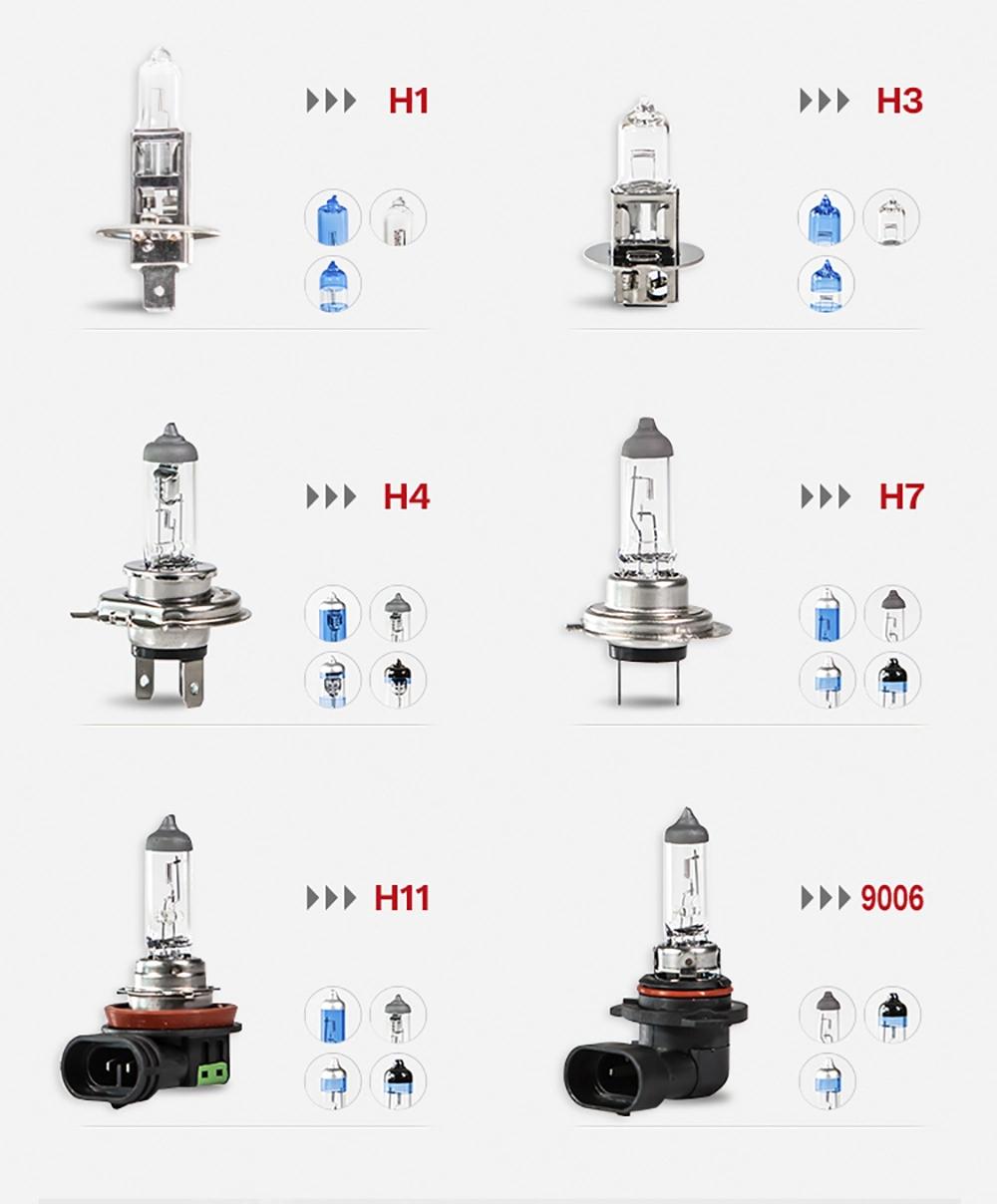 Car Halogen Bulb H9 Super White 12V 65W Blue Color
