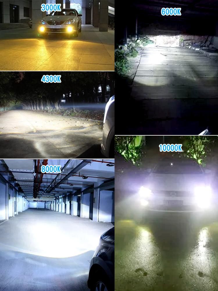 High Quality LED Headlight and D2s LED Headlights