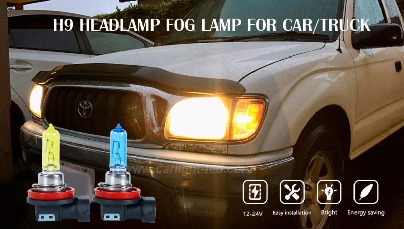 H9 Halogen Automotive Original Fog or Head Lighting