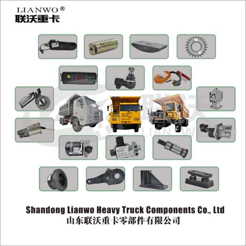 Sinotruk HOWO A7 Truck Parts LED Tail Lamp Wg9125810001