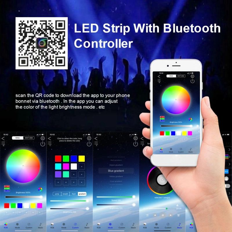 Dropshipping APP Control LED String Lights