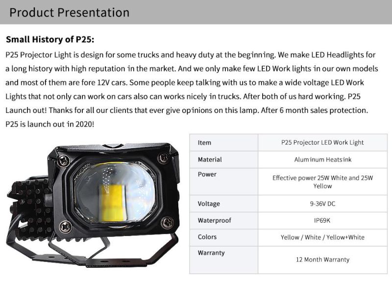 Lightech P25 Auto Lighting Industry with Car LED Eagle Series Lamp 25W