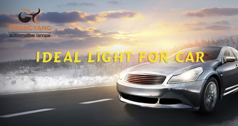 Auto Headlight H1 12V 100W Clear Halogen Bulb Warm White