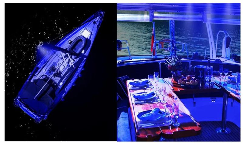 White Blue LED Boat Courtesy Lights 12 Volt LED Accent Light