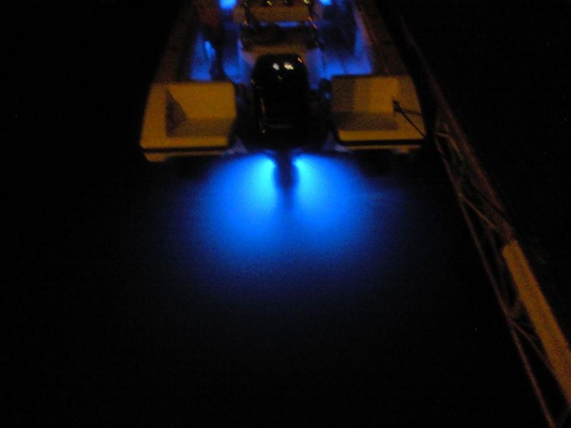 12V Blue/White LED Courtesy Light with Ss Cover