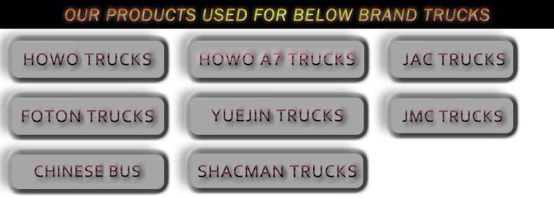 Dz9200810019 Head Lamp for Shacman F2000/F3000/H3000/M3000 Truck Spare Parts