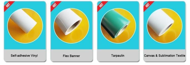 Eco Solvent Printing High Quanlity 0.10mm 140g White Back Self Adhesive Vinyl