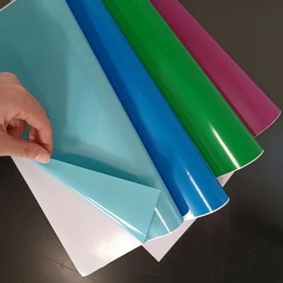 Outdoor PVC Eco Solvent Printing Glossy/Matte PVC Vinyl Roll