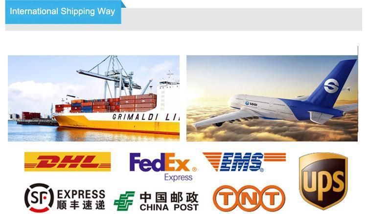 Wholesale Hanging Car Air Freshener Logo Custom Air Freshener for Car