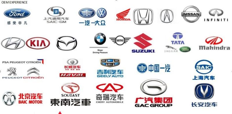 Custom Made LED Fronlit Plastic Car Brand Logo Sign LED Logo for Car