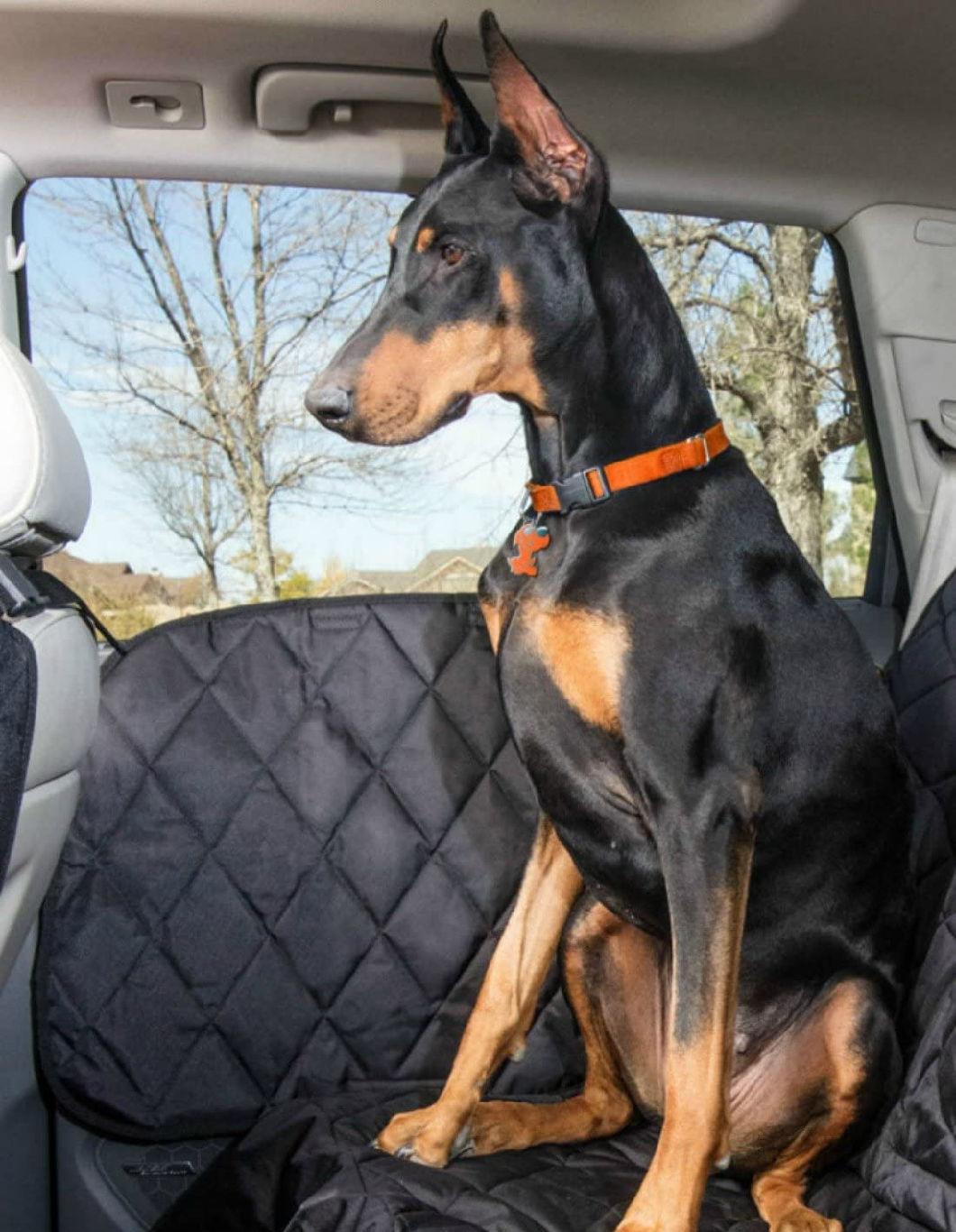 Car Accessory Door Cover Protector for Dog