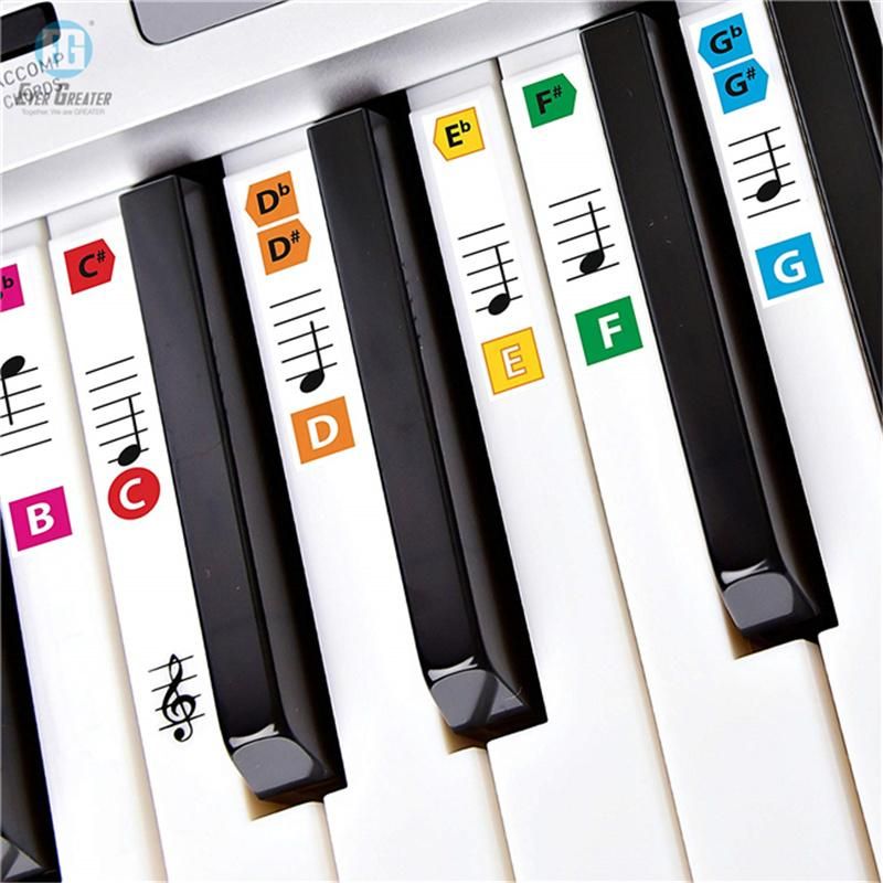 Custom Transparent Plastic Removable Piano Keyboard Note Stickers