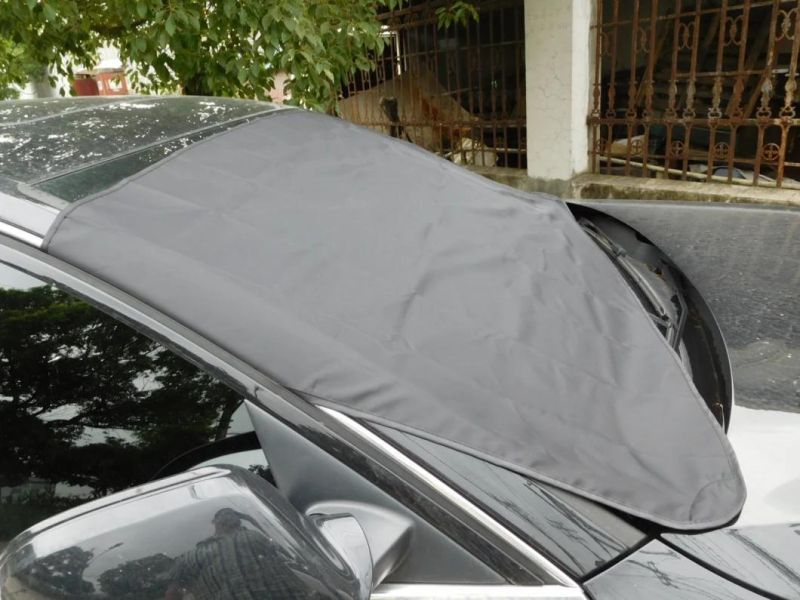 Auto Supplies Car Sunshade with Magents