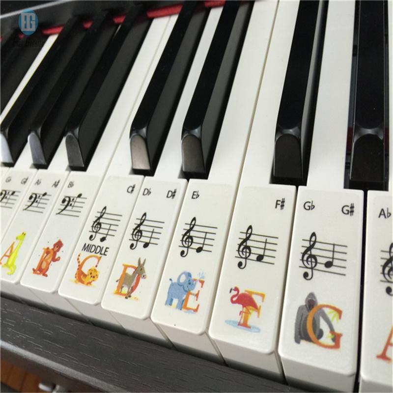 Custom Transparent Plastic Removable Piano Keyboard Note Stickers