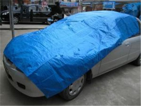 Custom Polyester Car Hood Cover