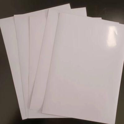 High Quality PVC Self Adhesive Vinyl Roll Glossy/Matte Adhesive Vinyl for Eco Solvent Printing