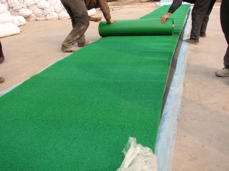 Custom PVC Coil Mat, PVC Coil Roll, PVC Coil Flooring, PVC Coil Sheet (3A5012)