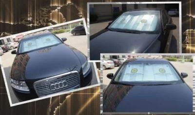 Top Quality Fashion Car Sunshade