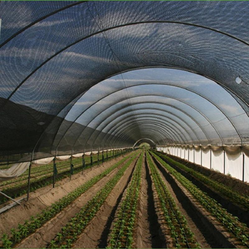 100% HDPE Green Agricultural Construction Shading Mesh Sun Shade Netting